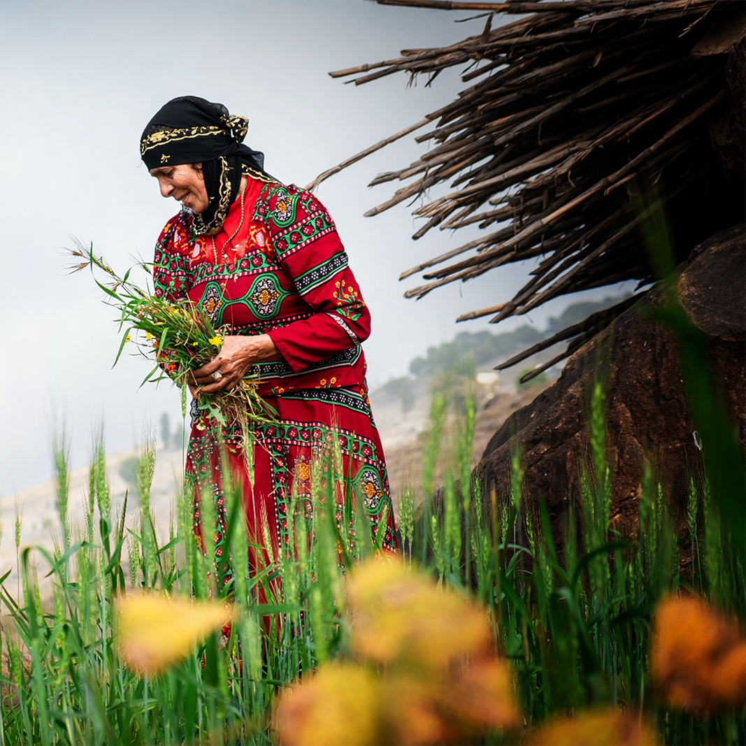 Mahwit Women Farmers