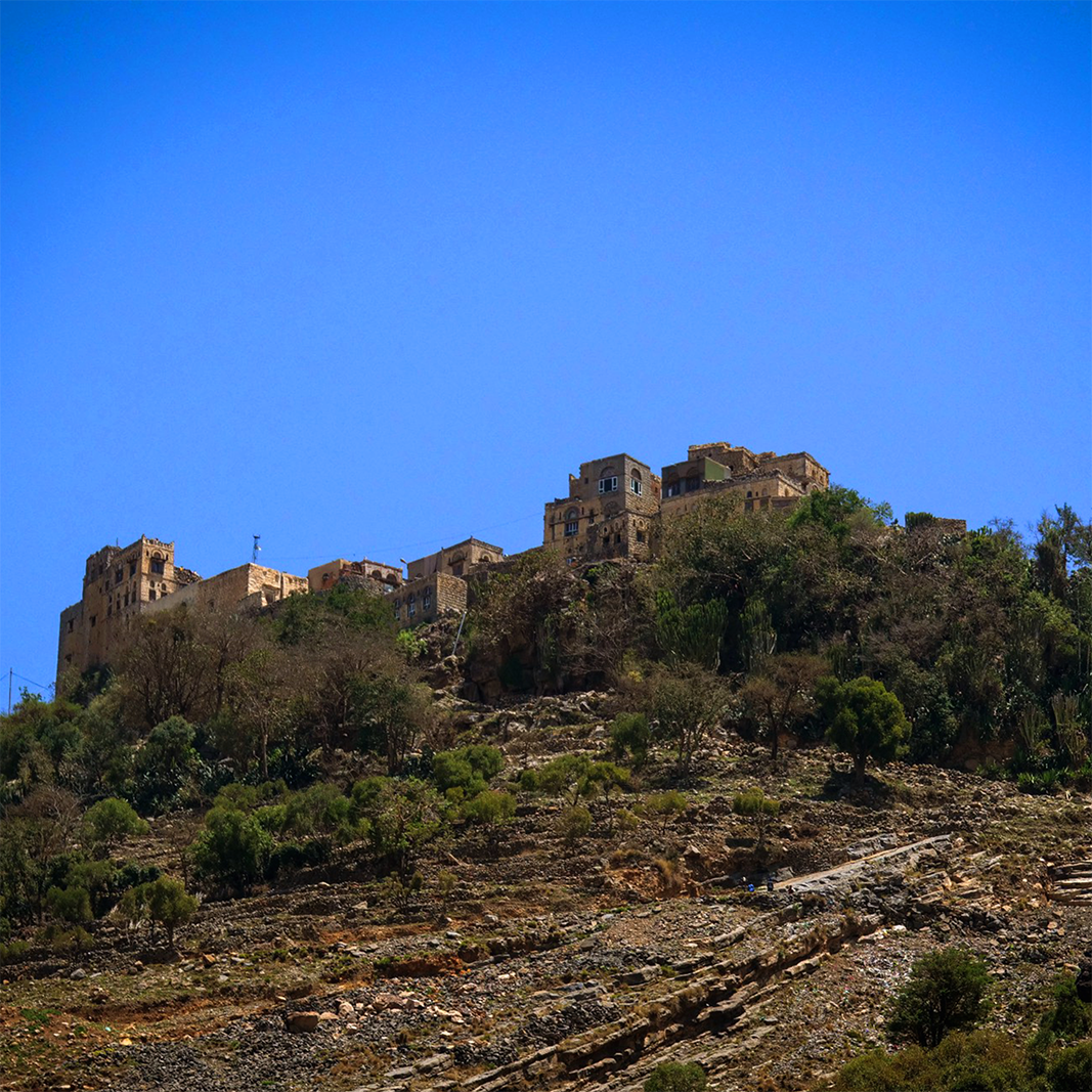 Wadi Mahyad Peaberry