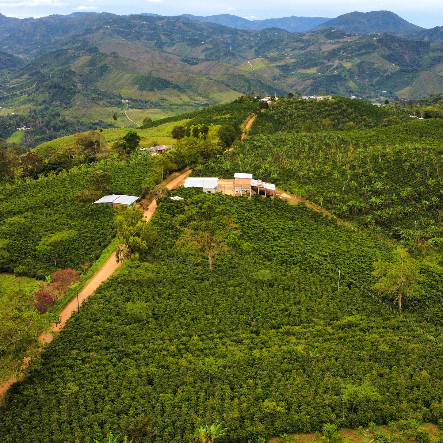 Rio Bamisa Caturrón