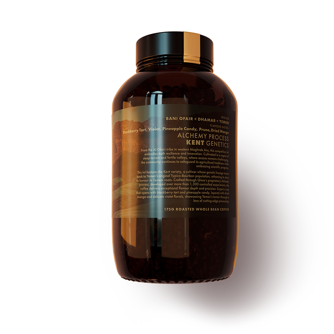 Al Ofairi XV Alchemy