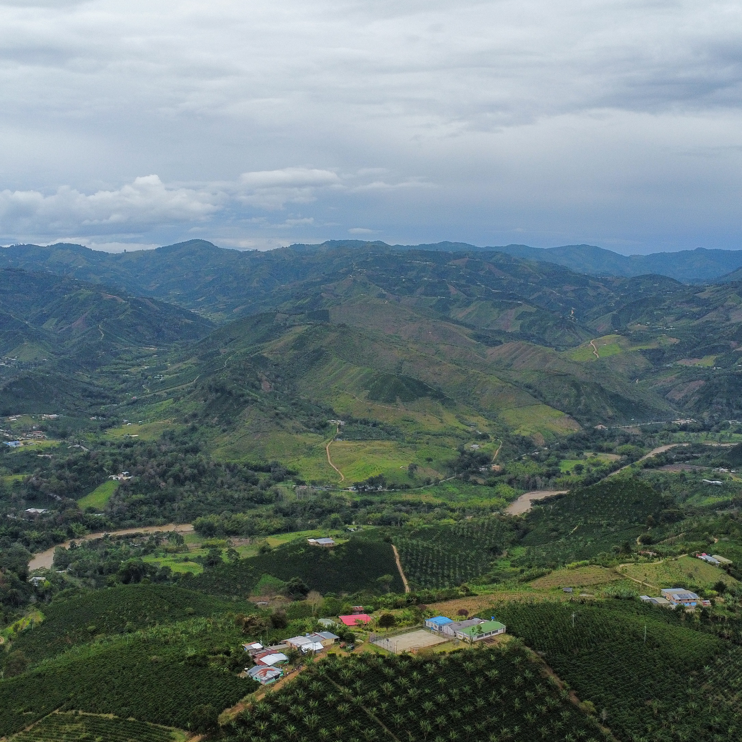 Linarco Rodriguez Chiroso