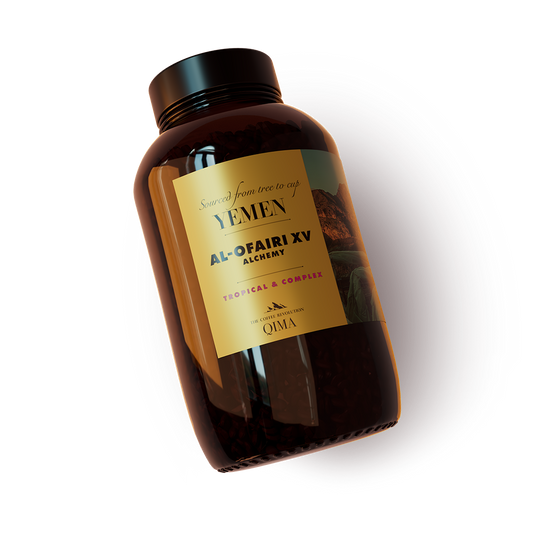 Al Ofairi XV Alchemy