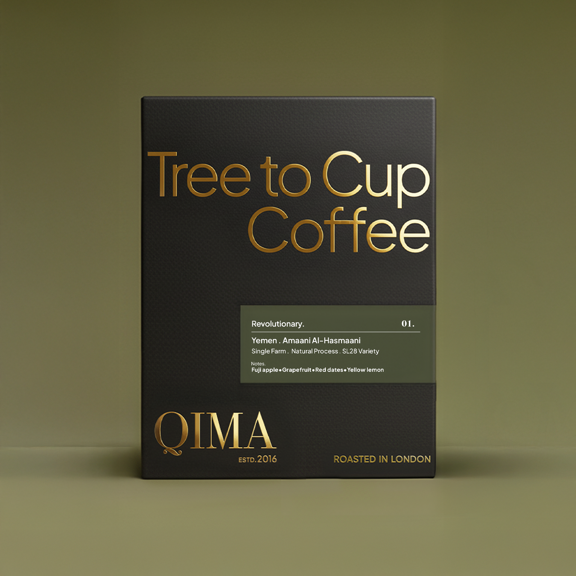 Yemen . Amaani Al-Hasmaani